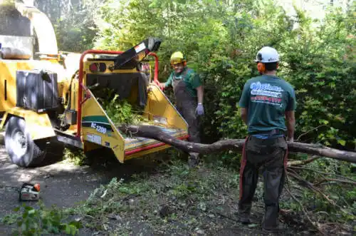 tree services Vail